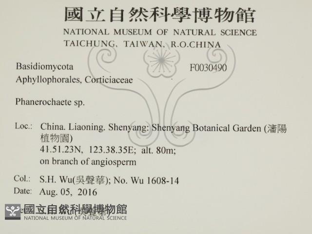 登錄號:F0030490藏品圖，第2張