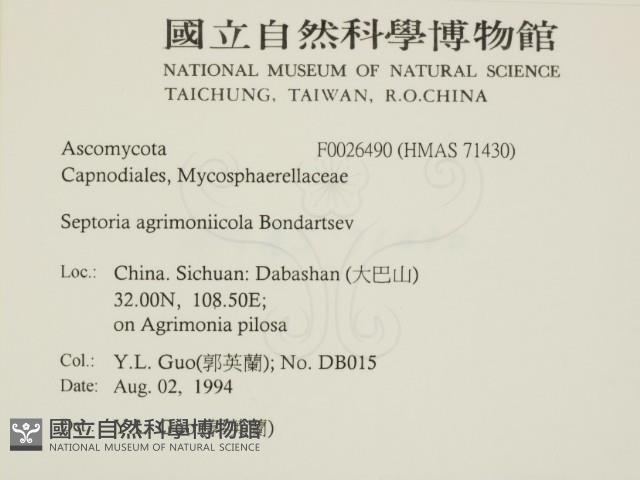 登錄號:F0026490藏品圖，第2張