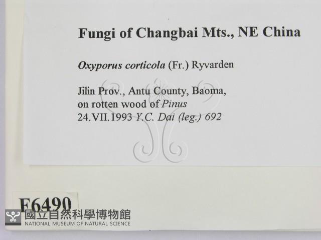 登錄號:F0006490藏品圖，第2張