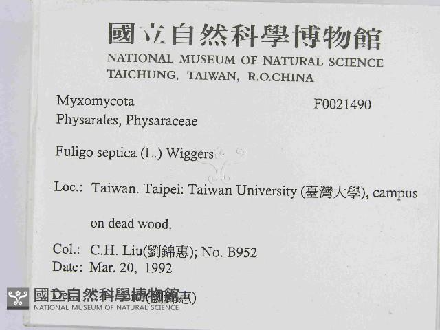 登錄號:F0021490藏品圖，第2張