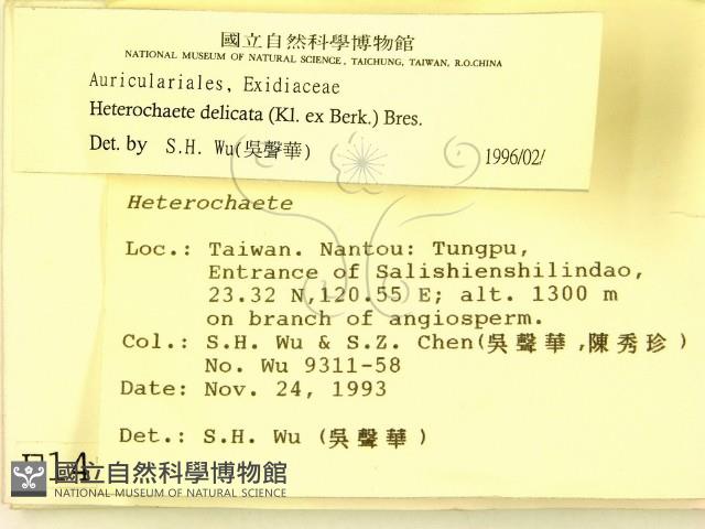 登錄號:F0001490藏品圖，第2張