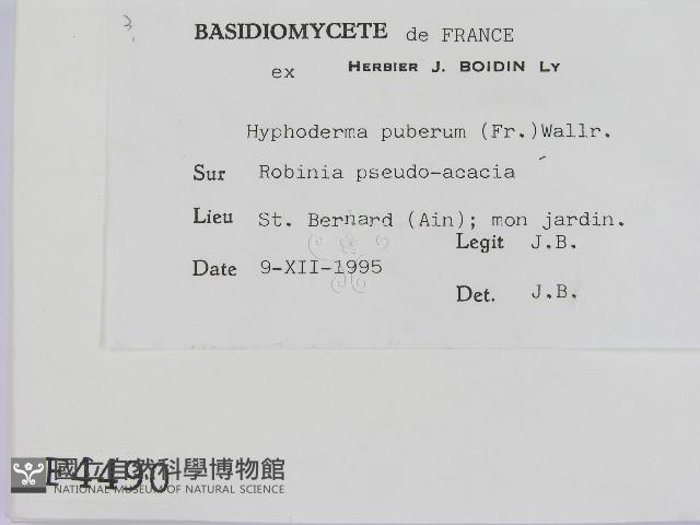 登錄號:F0004490藏品圖，第2張