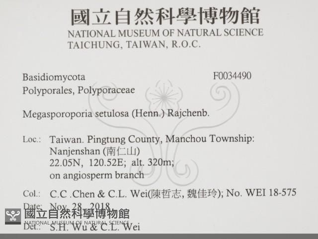 登錄號:F0034490藏品圖，第2張