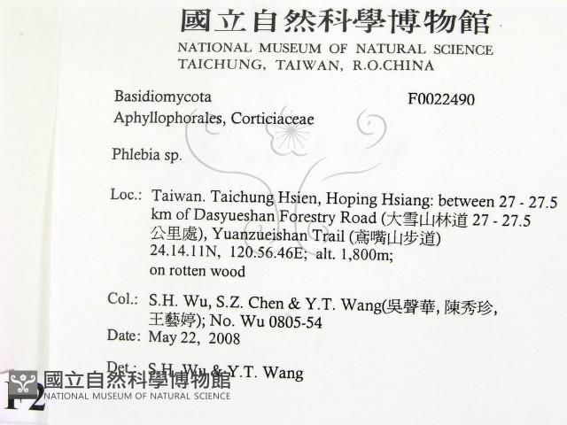 射脈菌屬藏品圖，第2張