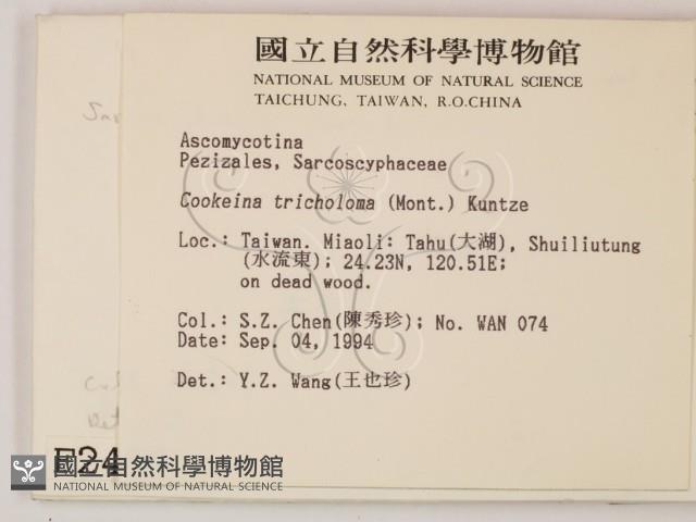 登錄號:F0002490藏品圖，第2張