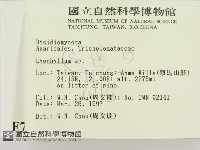 登錄號:F0007490藏品圖，第1張