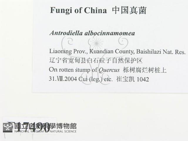登錄號:F0017490藏品圖，第2張