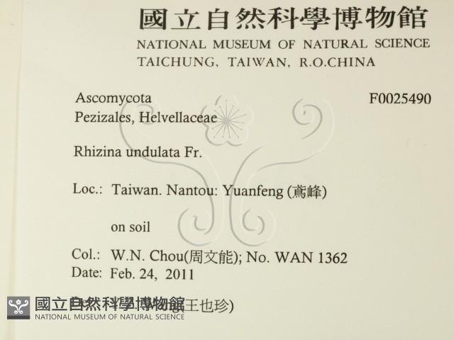 登錄號:F0025490藏品圖，第2張