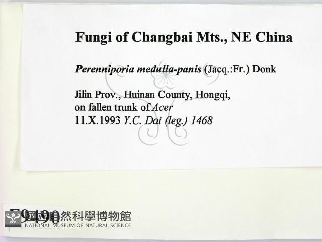 登錄號:F0009490藏品圖，第2張