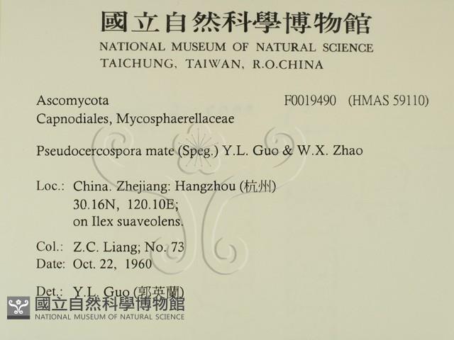 登錄號:F0019490藏品圖，第2張