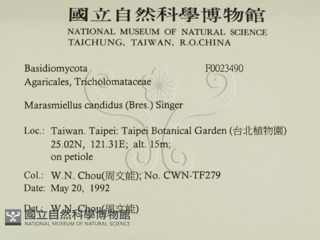 登錄號:F0023490藏品圖，第2張