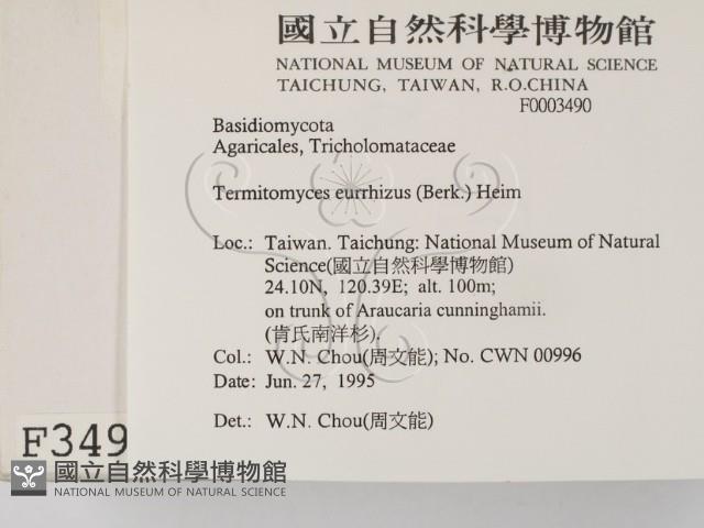 登錄號:F0003490藏品圖，第2張