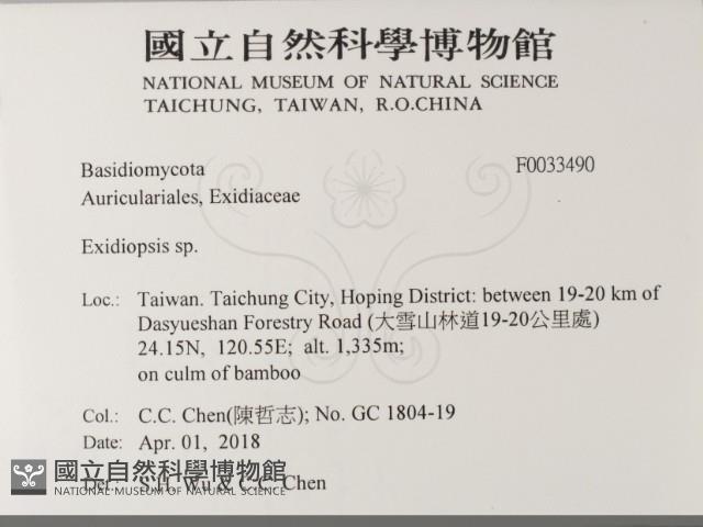 登錄號:F0033490藏品圖，第2張
