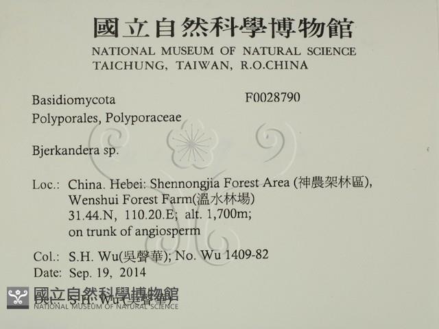 登錄號:F0028790藏品圖，第2張