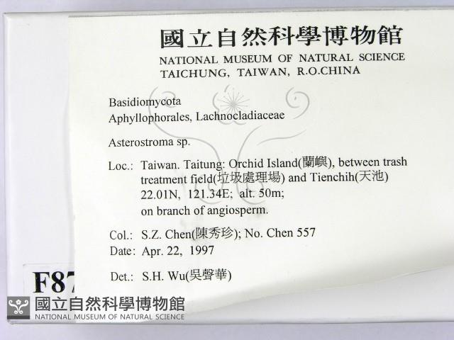 登錄號:F0008790藏品圖，第2張