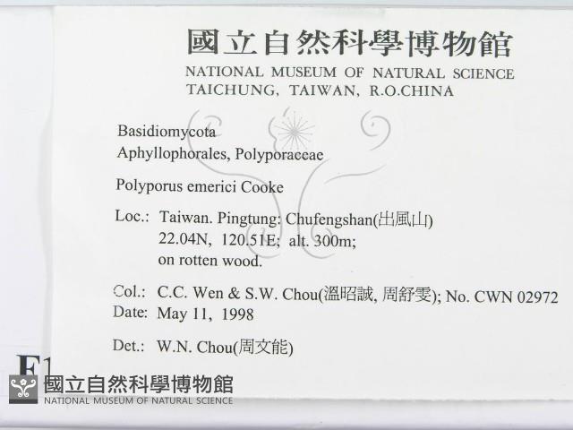 登錄號:F0010790藏品圖，第2張