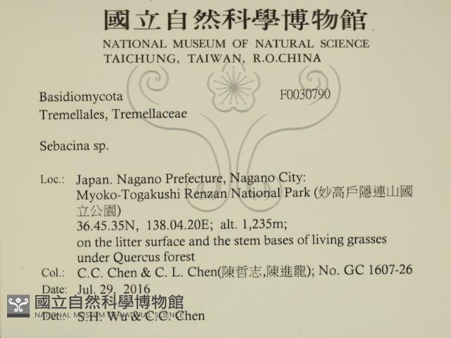 登錄號:F0030790藏品圖，第2張