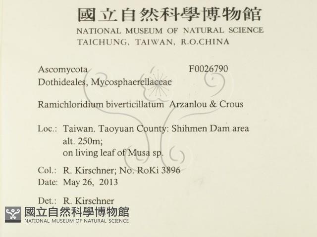 登錄號:F0026790藏品圖，第2張