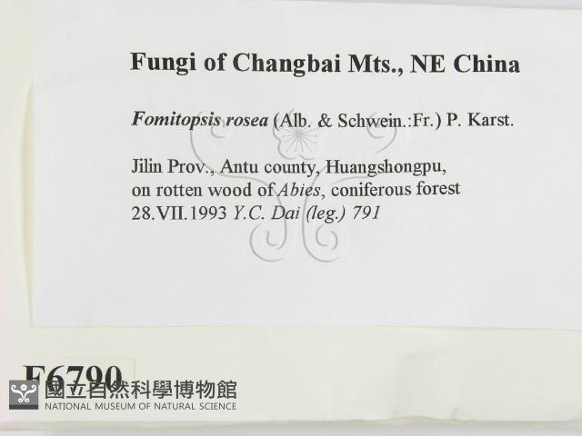 登錄號:F0006790藏品圖，第2張