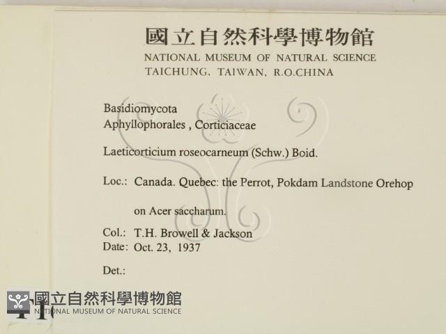 登錄號:F0016790藏品圖，第2張