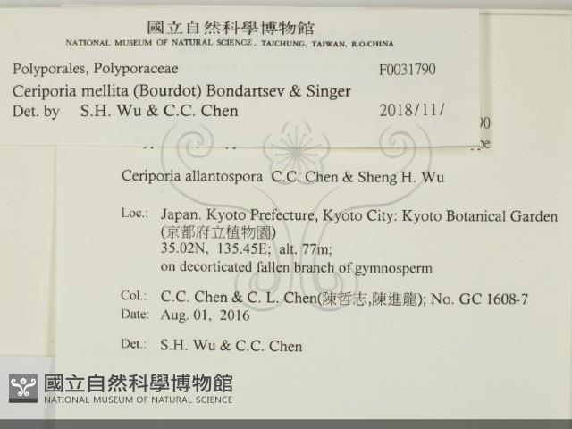 登錄號:F0031790藏品圖，第2張