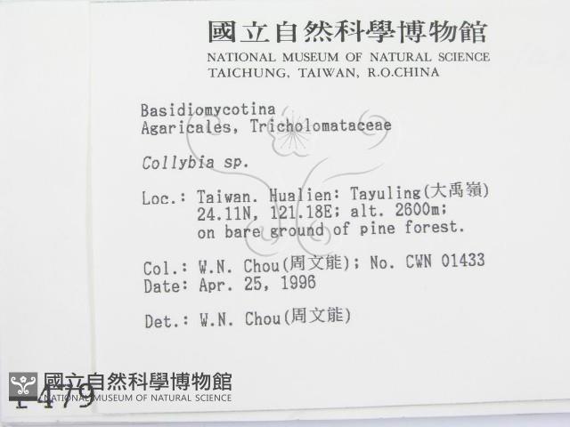 登錄號:F0004790藏品圖，第2張