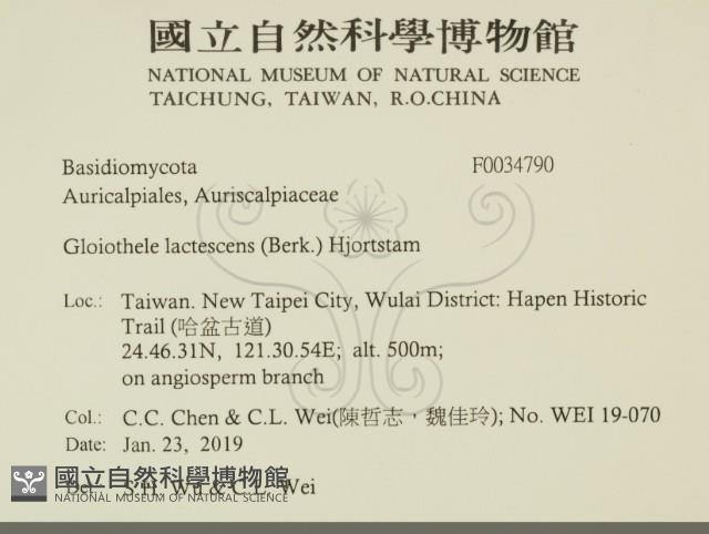 登錄號:F0034790藏品圖，第2張