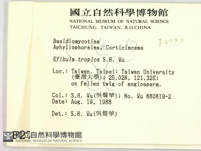登錄號:F0002790藏品圖，第2張
