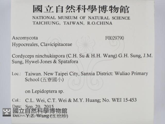 登錄號:F0029790藏品圖，第2張