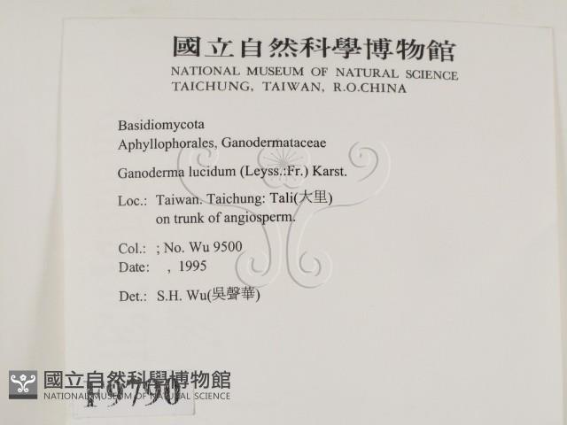 登錄號:F0009790藏品圖，第2張