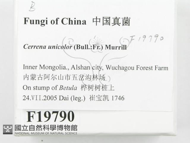 登錄號:F0019790藏品圖，第2張