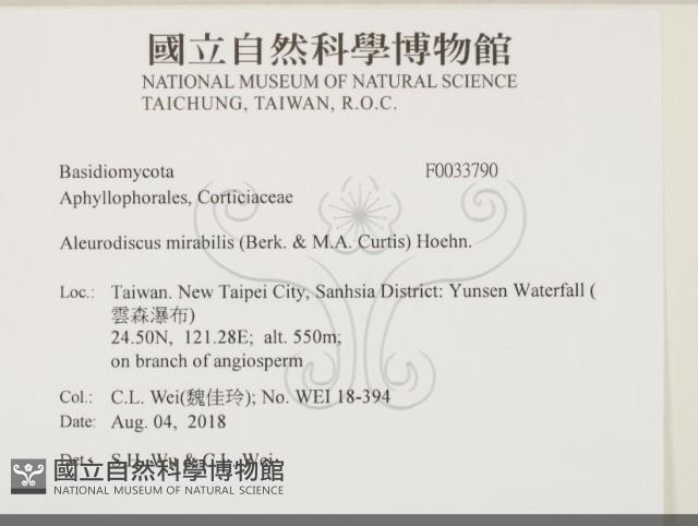 登錄號:F0033790藏品圖，第2張