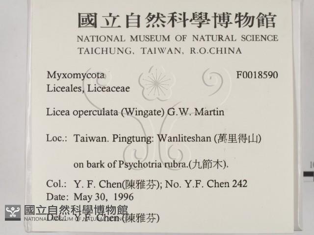 登錄號:F0018590藏品圖，第2張