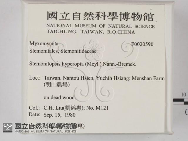 登錄號:F0020590藏品圖，第2張