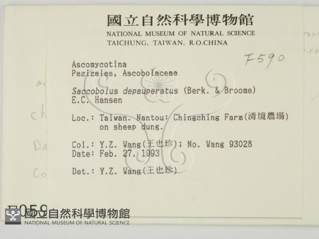 登錄號:F0000590藏品圖，第2張