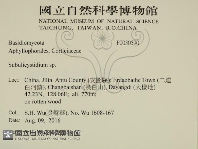 登錄號:F0030590藏品圖，第2張
