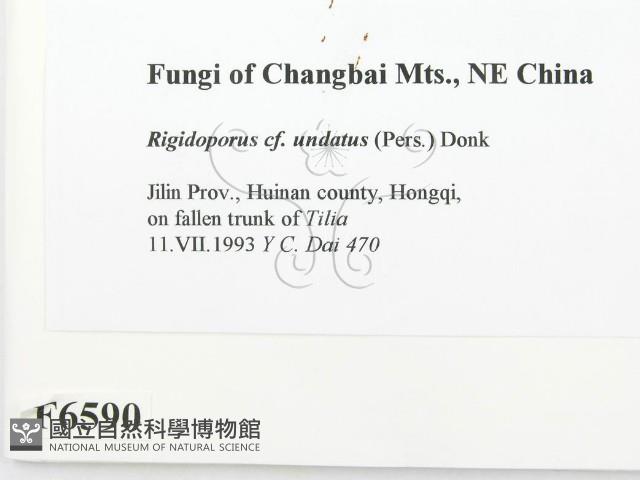 登錄號:F0006590藏品圖，第2張