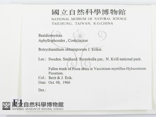 登錄號:F0016590藏品圖，第2張