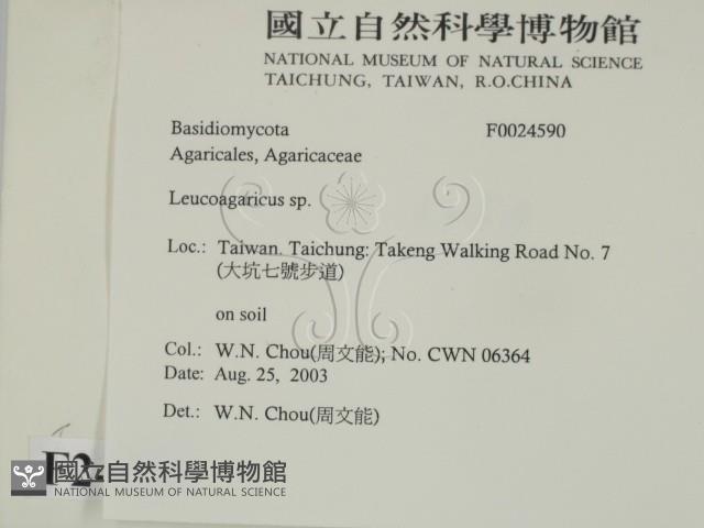 登錄號:F0024590藏品圖，第2張