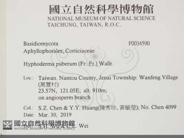 登錄號:F0034590藏品圖，第2張
