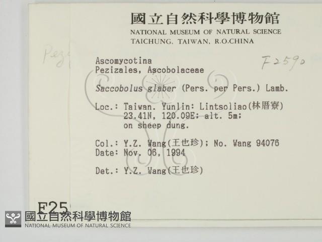 登錄號:F0002590藏品圖，第2張