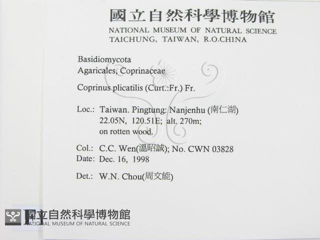 登錄號:F0012590藏品圖，第2張