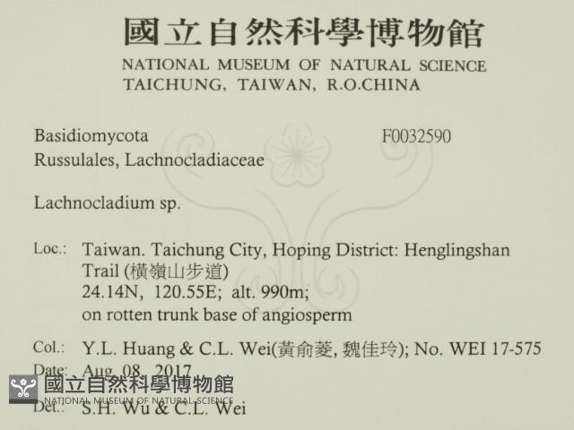 登錄號:F0032590藏品圖，第2張