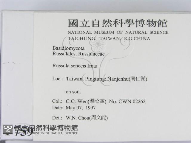 登錄號:F0007590藏品圖，第2張