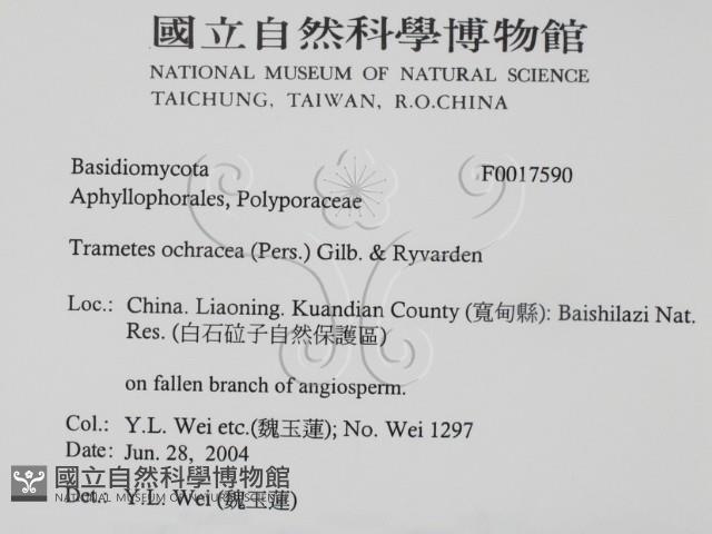 登錄號:F0017590藏品圖，第2張