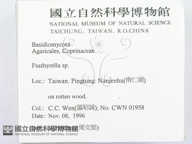 登錄號:F0005590藏品圖，第2張