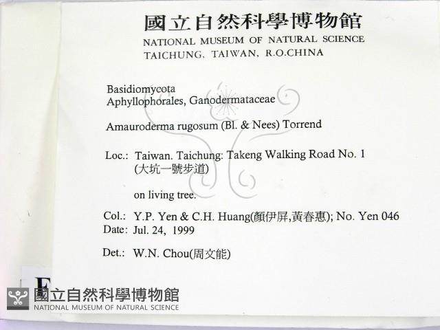 登錄號:F0015590藏品圖，第2張