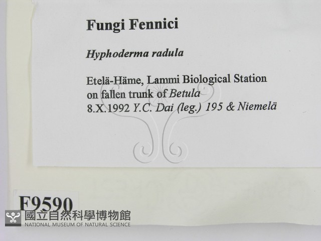登錄號:F0009590藏品圖，第2張