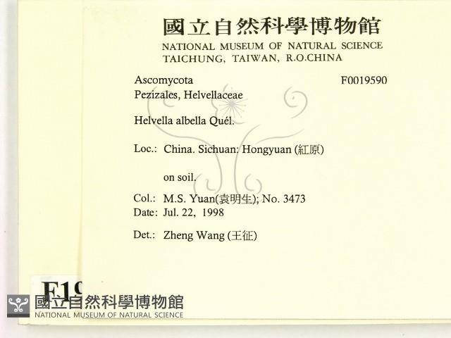 登錄號:F0019590藏品圖，第2張