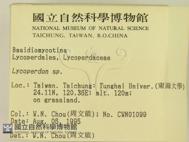 登錄號:F0003590藏品圖，第2張